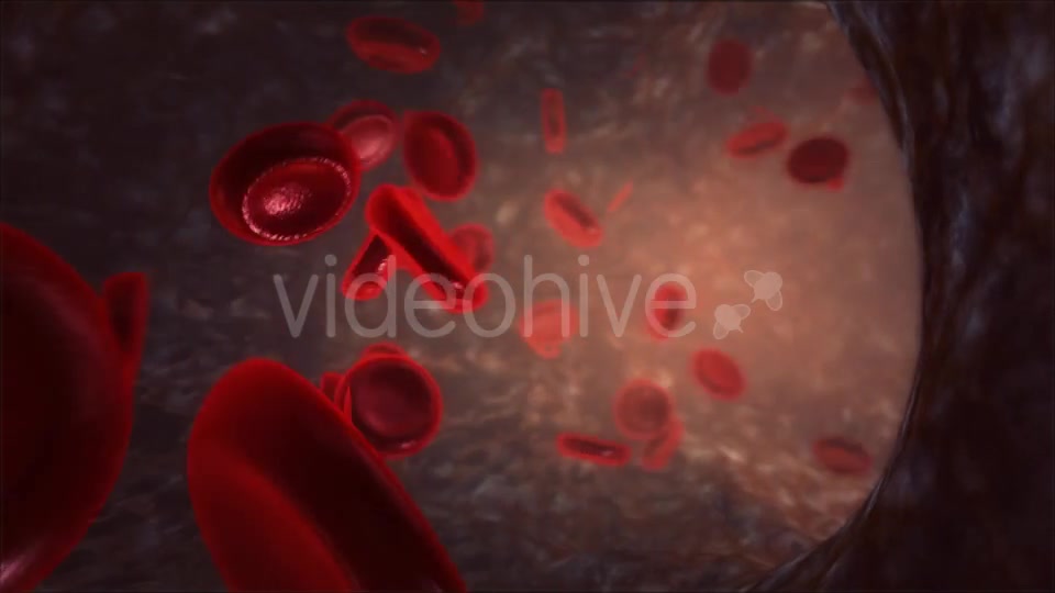 Blood Vessel Videohive 13066260 Motion Graphics Image 8