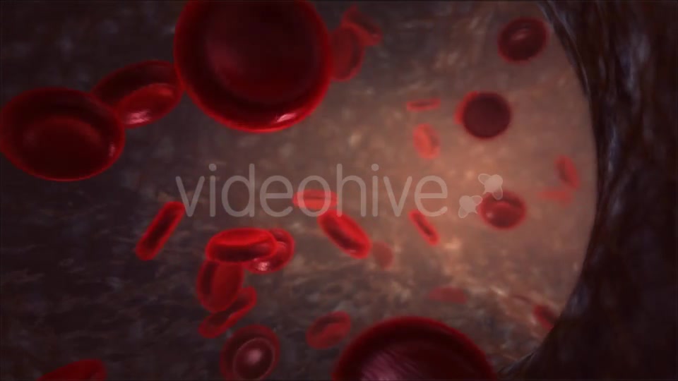 Blood Vessel Videohive 13066260 Motion Graphics Image 9