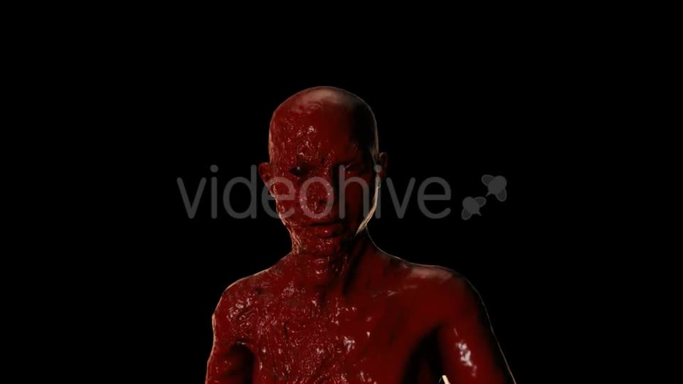 Bloody Face Videohive 20822809 Motion Graphics Image 1