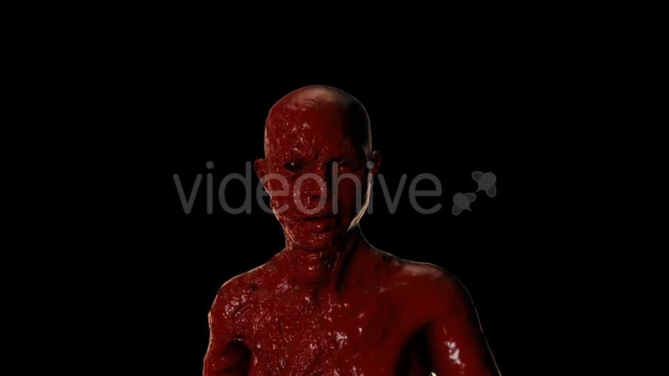 Bloody Face Videohive 20822809 Motion Graphics Image 5