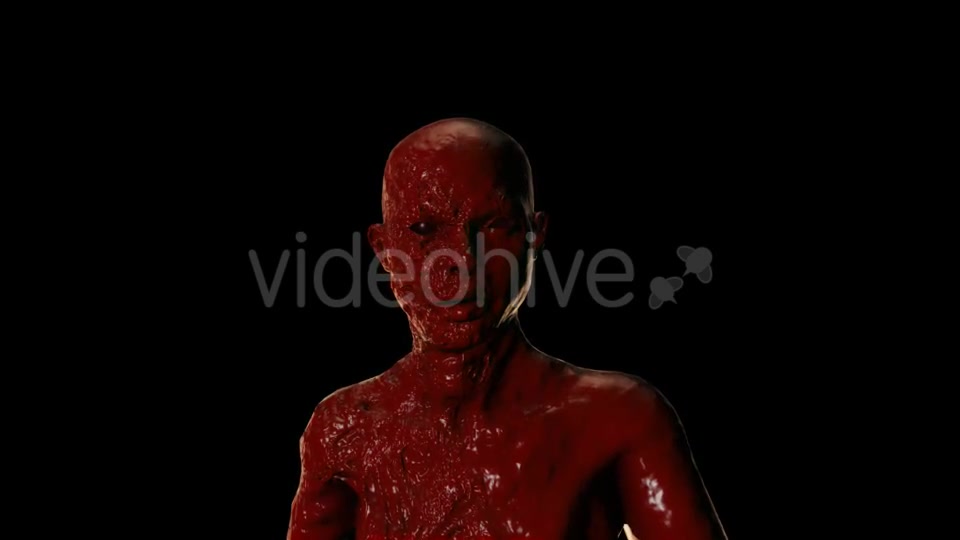 Bloody Face Videohive 20822809 Motion Graphics Image 6