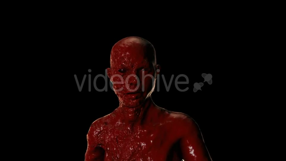 Bloody Face Videohive 20822809 Motion Graphics Image 7