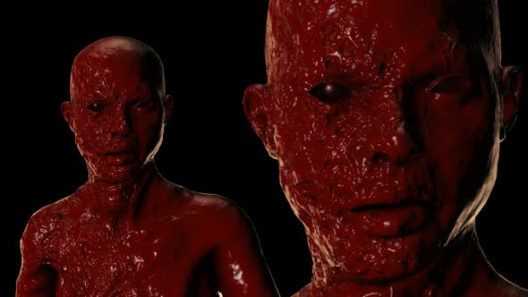 Bloody Face - 20822809 Download Videohive