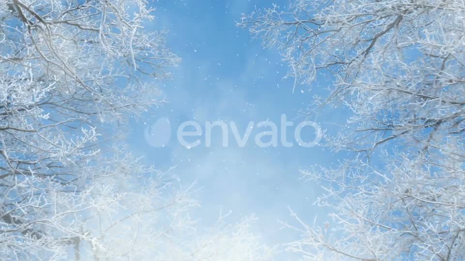 Blue And White Winter Background Loops Videohive 25231681 Motion Graphics Image 1