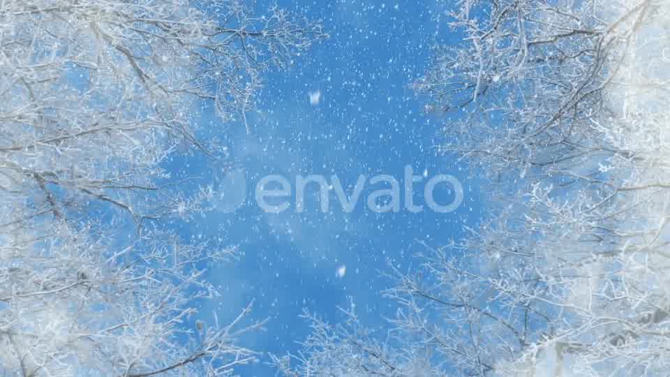 Blue And White Winter Background Loops Videohive 25231681 Motion Graphics Image 10
