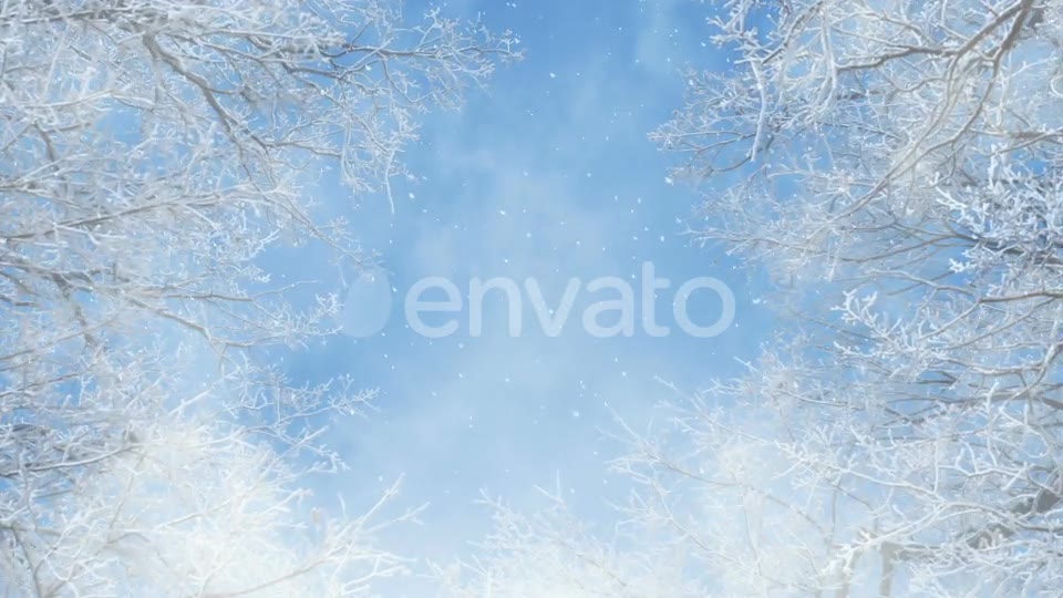 Blue And White Winter Background Loops Videohive 25231681 Motion Graphics Image 2