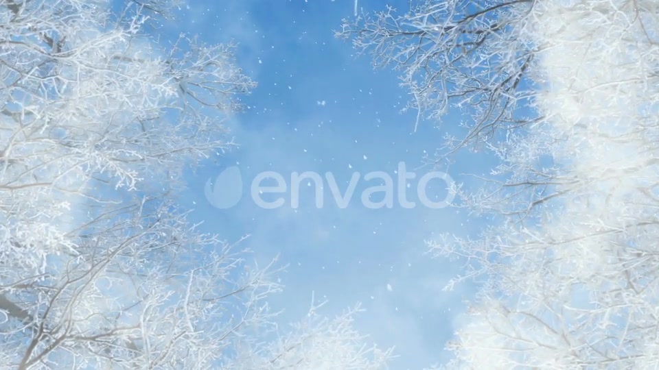 Blue And White Winter Background Loops Videohive 25231681 Motion Graphics Image 4