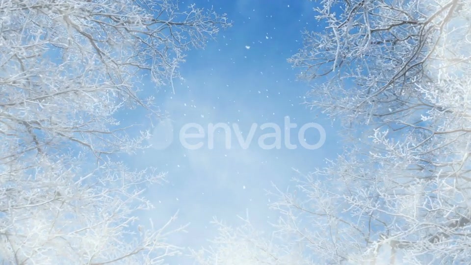 Blue And White Winter Background Loops Videohive 25231681 Motion Graphics Image 5