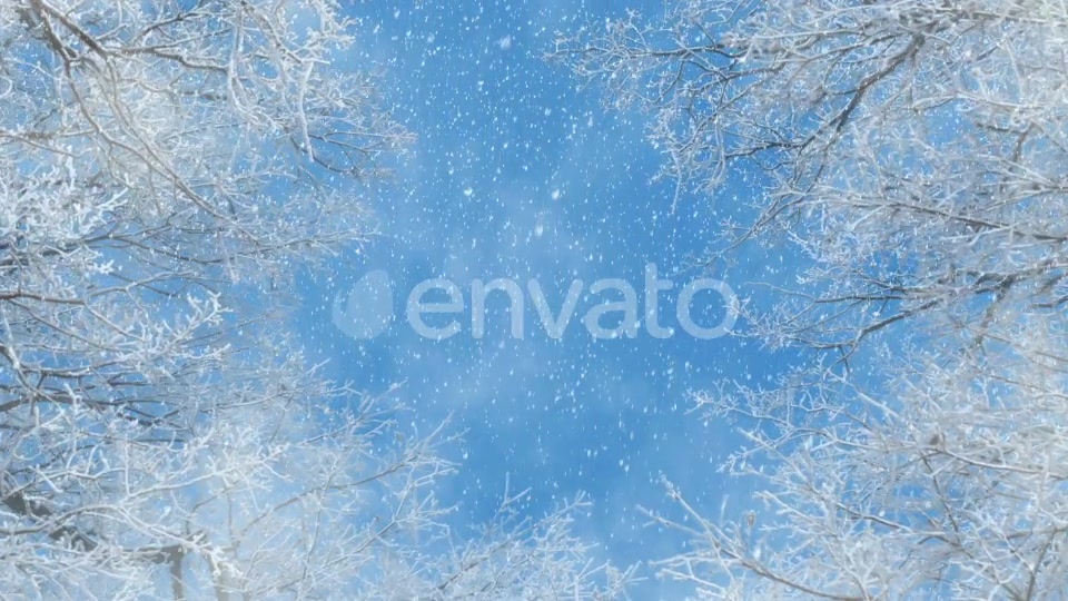 Blue And White Winter Background Loops Videohive 25231681 Motion Graphics Image 6