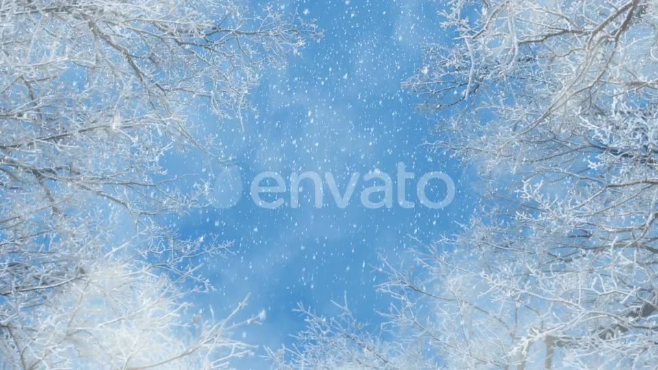 Blue And White Winter Background Loops Videohive 25231681 Motion Graphics Image 7