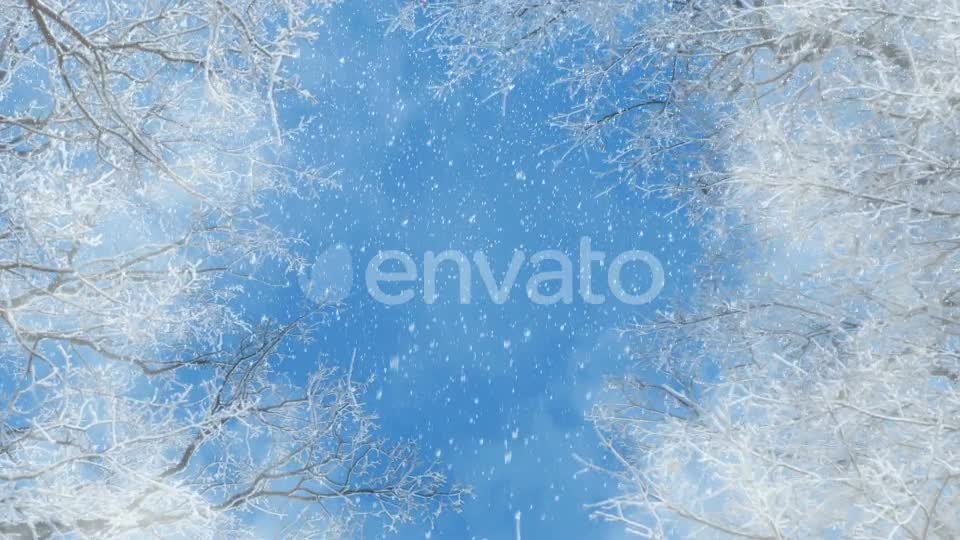 Blue And White Winter Background Loops Videohive 25231681 Motion Graphics Image 8