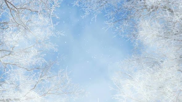 Blue And White Winter Background Loops - Videohive 25231681 Download