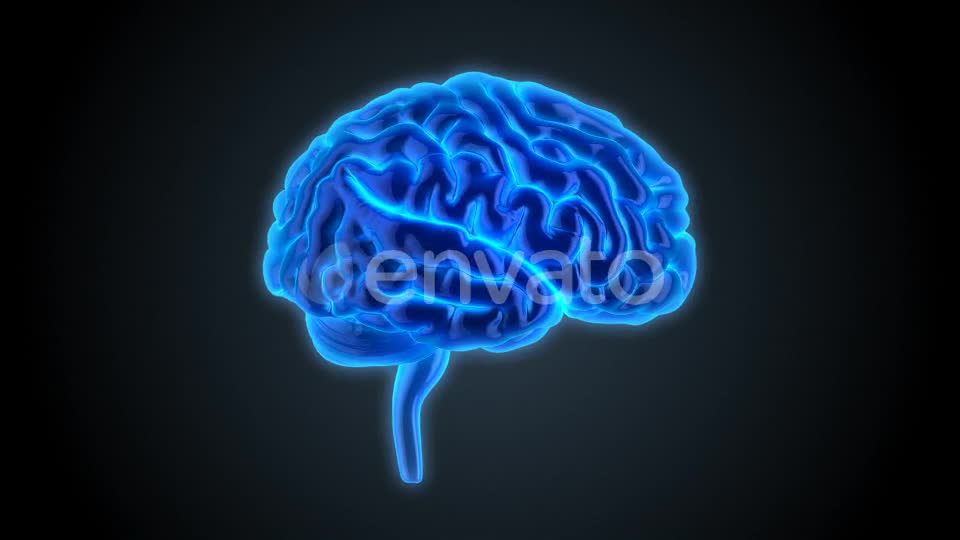 Blue Brains 2 Videohive 22421106 Motion Graphics Image 1