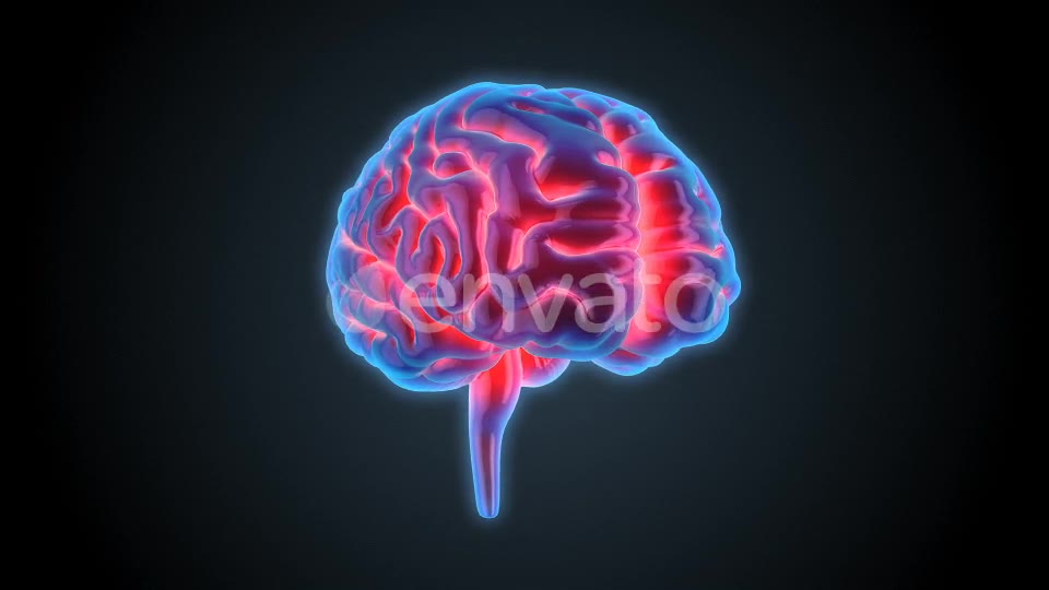 Blue Brains 2 Videohive 22421106 Motion Graphics Image 2