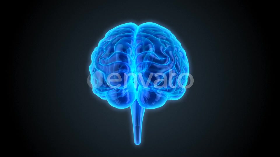 Blue Brains 2 Videohive 22421106 Motion Graphics Image 6