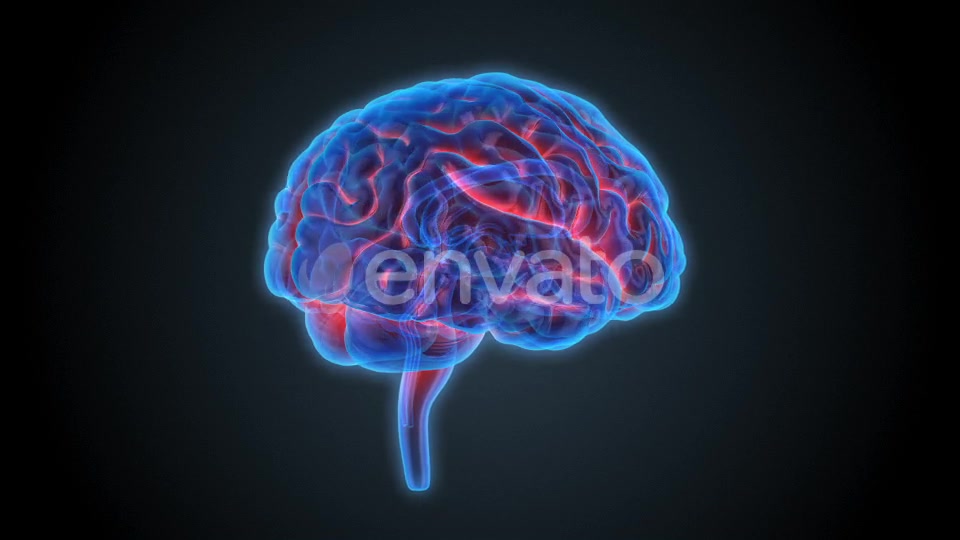 Blue Brains 2 Videohive 22421106 Motion Graphics Image 7