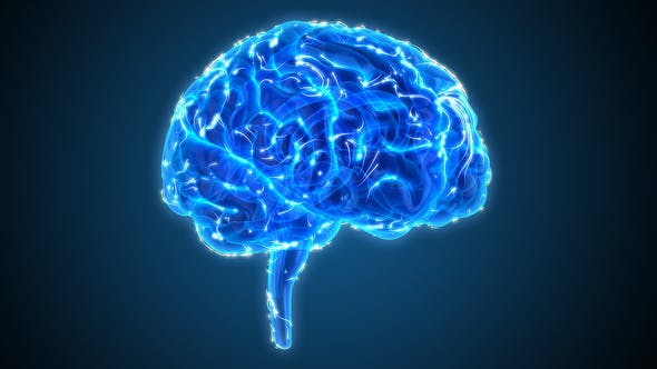 Blue Brains 2 - Videohive 22421106 Download