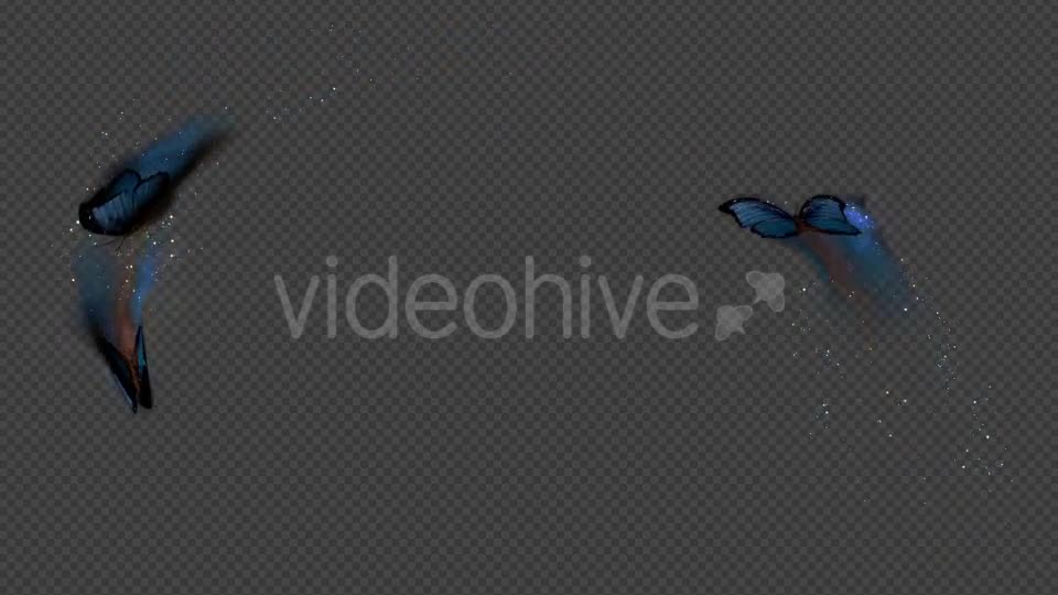 Blue Butterfly Dynamic Flying Particle Tail Videohive 18601479 Motion Graphics Image 1