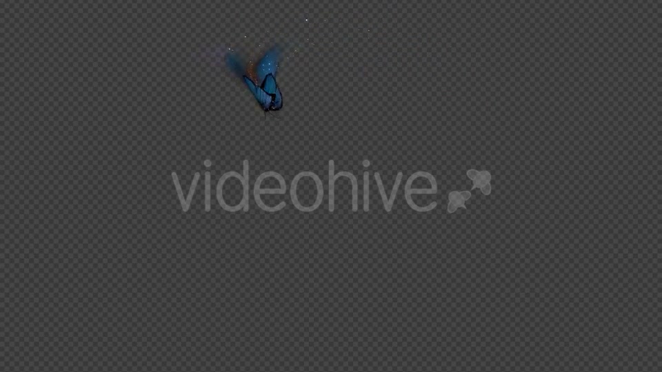Blue Butterfly Dynamic Flying Particle Tail Videohive 18601479 Motion Graphics Image 10