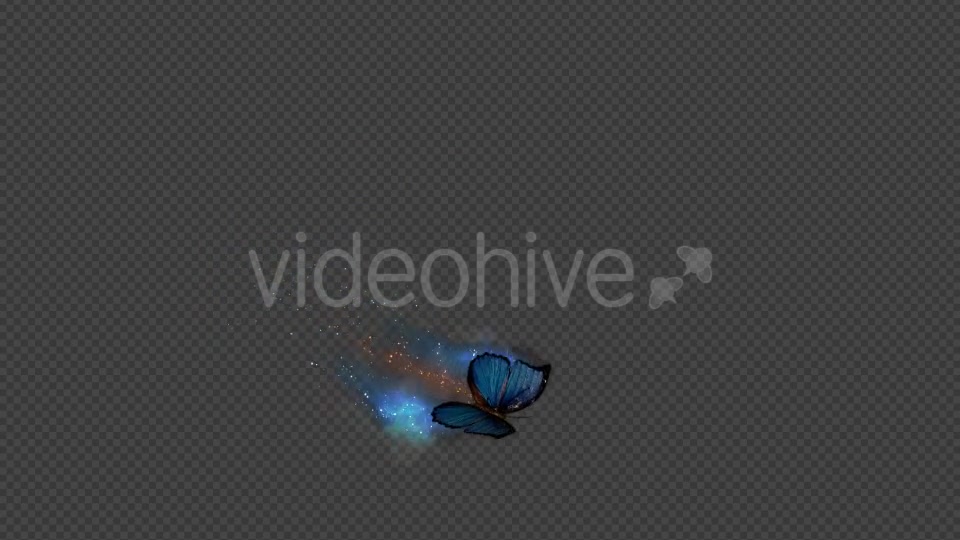 Blue Butterfly Dynamic Flying Particle Tail Videohive 18601479 Motion Graphics Image 12