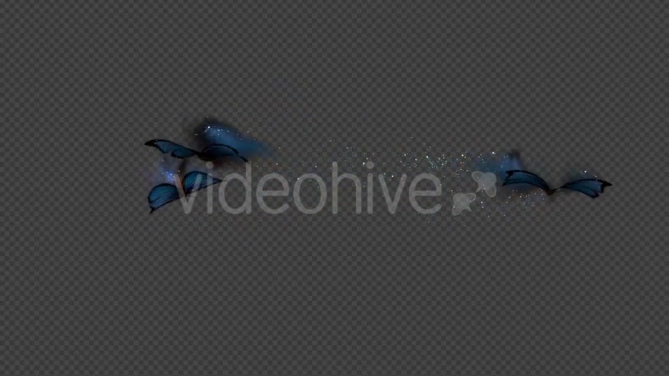 Blue Butterfly Dynamic Flying Particle Tail Videohive 18601479 Motion Graphics Image 2