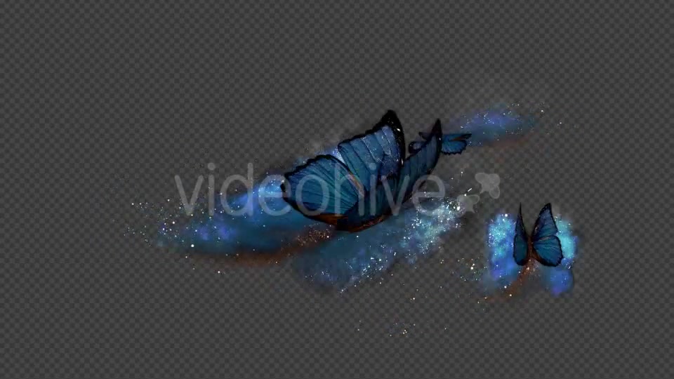 Blue Butterfly Dynamic Flying Particle Tail Videohive 18601479 Motion Graphics Image 3