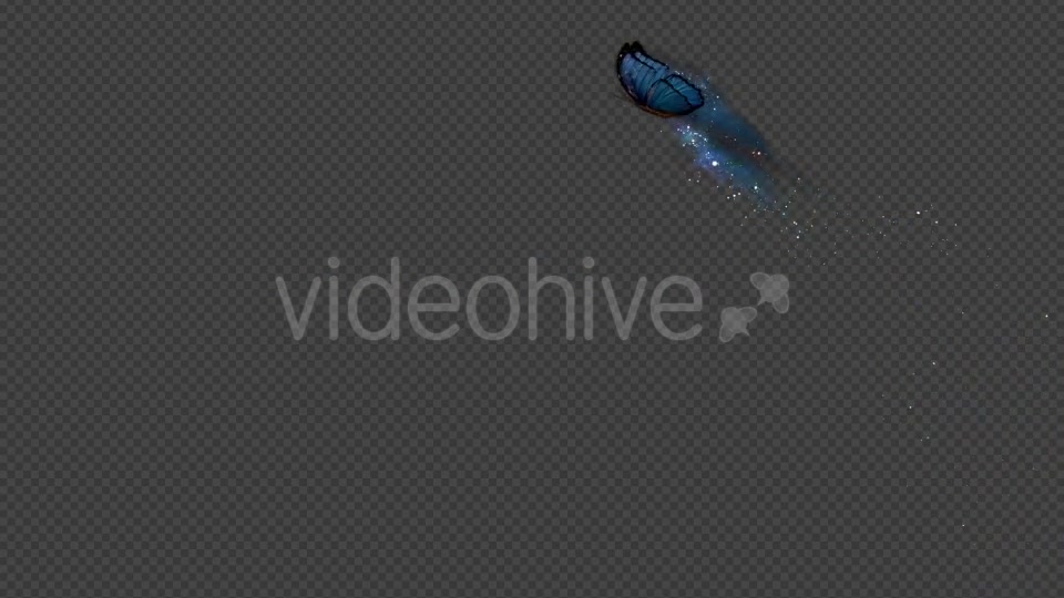 Blue Butterfly Dynamic Flying Particle Tail Videohive 18601479 Motion Graphics Image 4