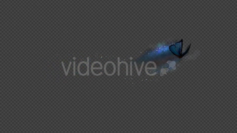 Blue Butterfly Dynamic Flying Particle Tail Videohive 18601479 Motion Graphics Image 9