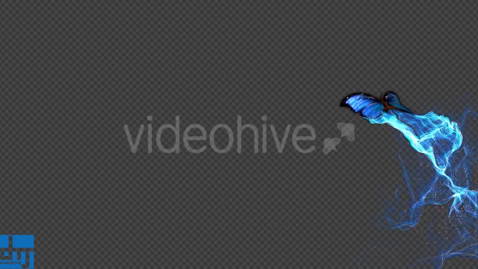 Blue Butterfly Gorgeous Particle Light Trailing Flying V1 Videohive 18715454 Motion Graphics Image 1