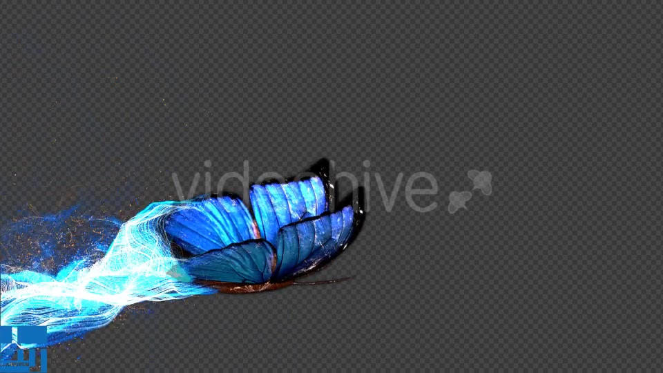 Blue Butterfly Gorgeous Particle Light Trailing Flying V1 Videohive 18715454 Motion Graphics Image 4