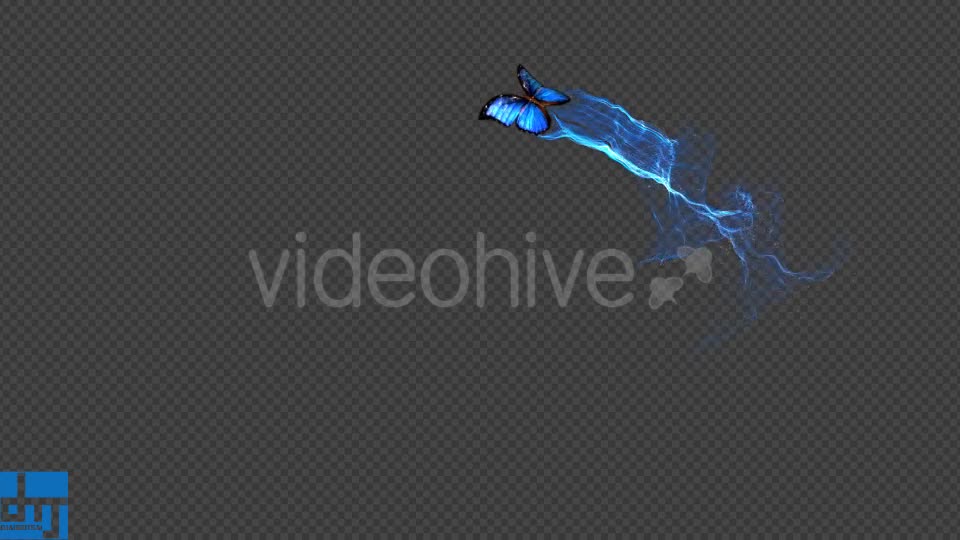 Blue Butterfly Gorgeous Particle Light Trailing Flying V3 Videohive 18716440 Motion Graphics Image 1