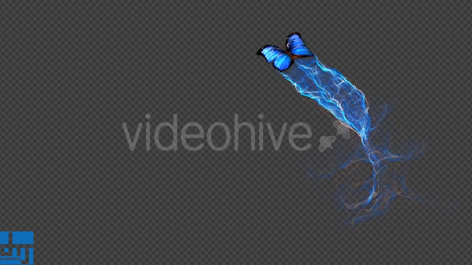 Blue Butterfly Gorgeous Particle Light Trailing Flying V3 Videohive 18716440 Motion Graphics Image 11