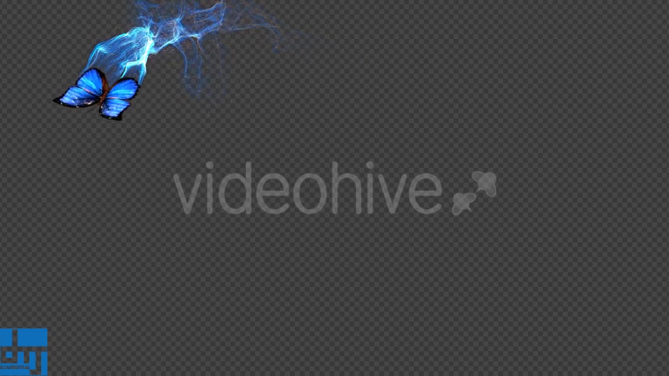 Blue Butterfly Gorgeous Particle Light Trailing Flying V3 Videohive 18716440 Motion Graphics Image 2