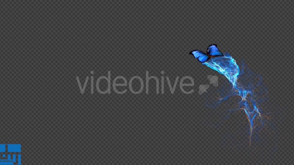 Blue Butterfly Gorgeous Particle Light Trailing Flying V3 Videohive 18716440 Motion Graphics Image 5