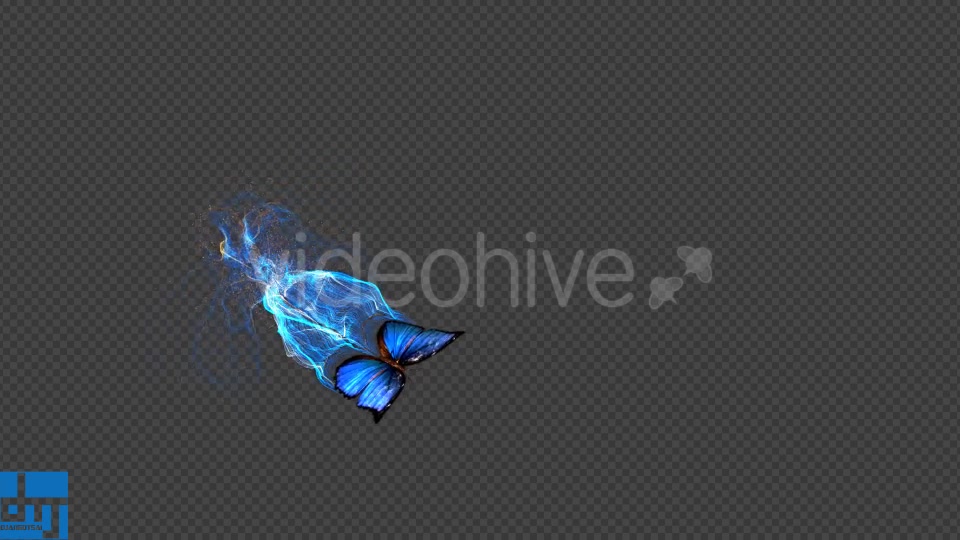 Blue Butterfly Gorgeous Particle Light Trailing Flying V3 Videohive 18716440 Motion Graphics Image 7