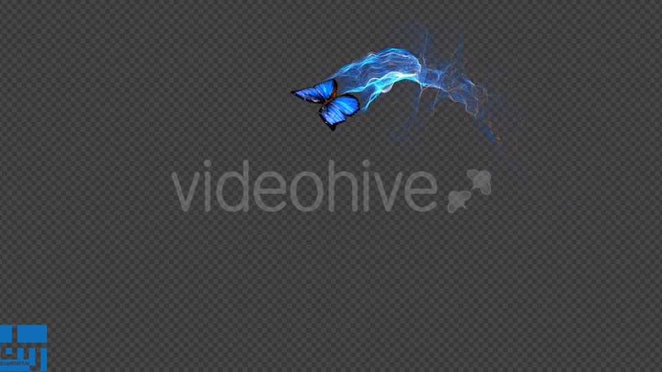 Blue Butterfly Gorgeous Particle Light Trailing Flying V3 Videohive 18716440 Motion Graphics Image 9