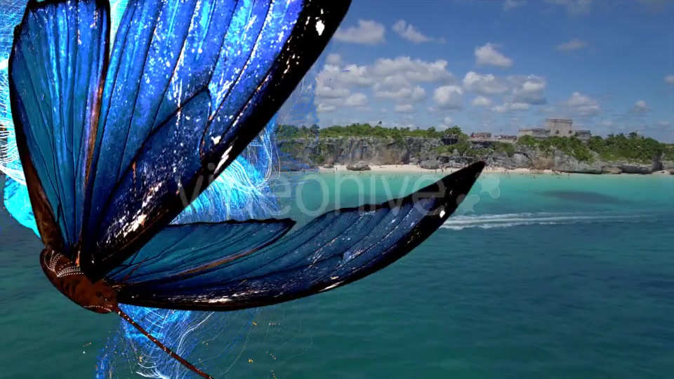 Blue Butterfly Particle Trailing Flying Transtion 3 In 1 Videohive 18883607 Motion Graphics Image 4