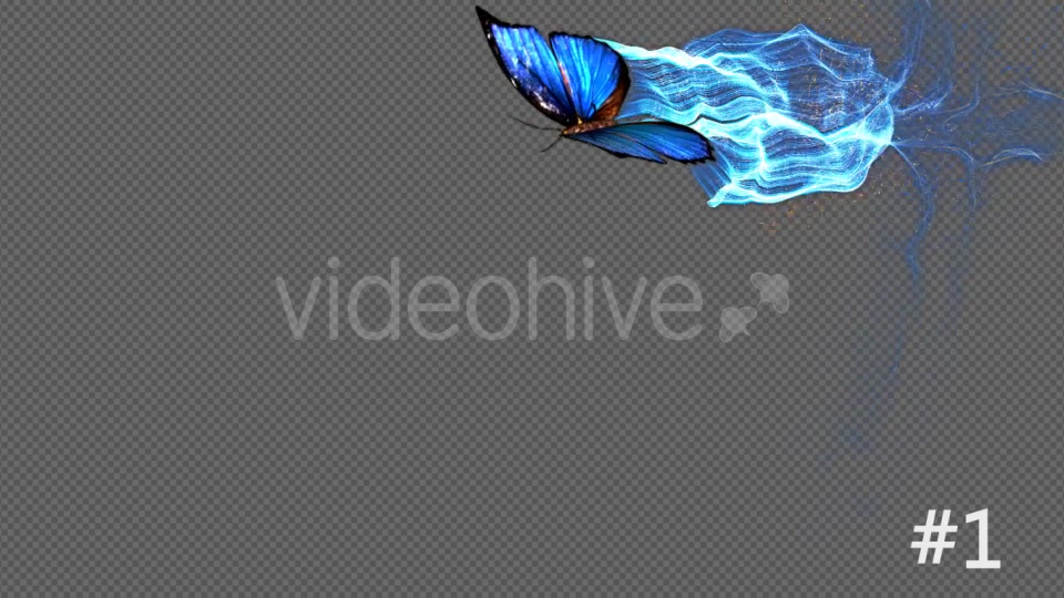 Blue Butterfly Particle Trailing Flying Transtion 3 In 1 Videohive 18883607 Motion Graphics Image 6