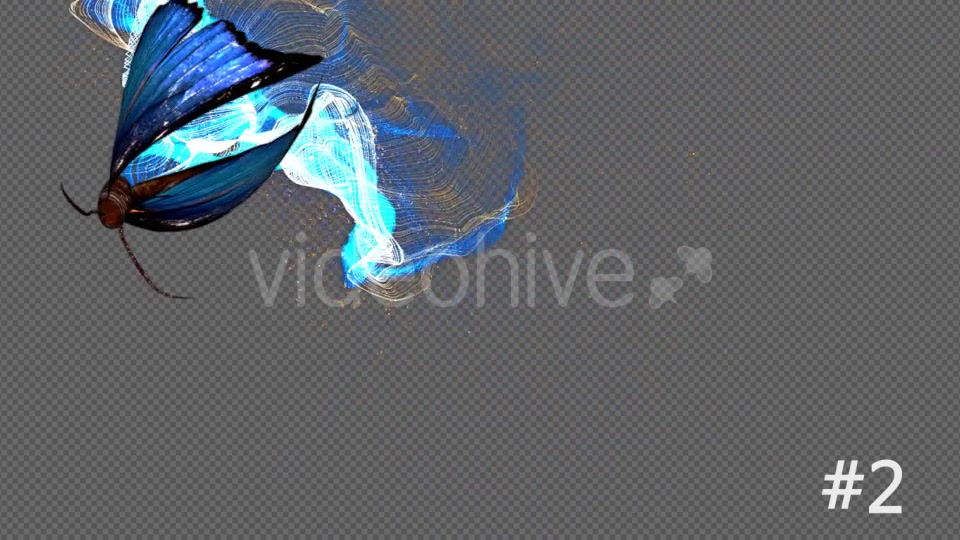 Blue Butterfly Particle Trailing Flying Transtion 3 In 1 Videohive 18883607 Motion Graphics Image 9