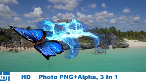Blue Butterfly Particle Trailing Flying Transtion 3 In 1 - Download 18883607 Videohive