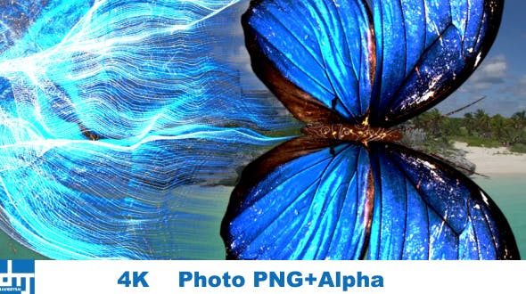Blue Butterfly Particle Trailing Flying Transtion V1 - Download Videohive 19048863