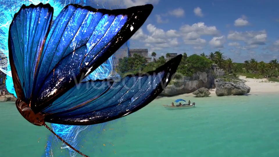 Blue Butterfly Particle Trailing Flying Transtion V2 Videohive 19048882 Motion Graphics Image 4