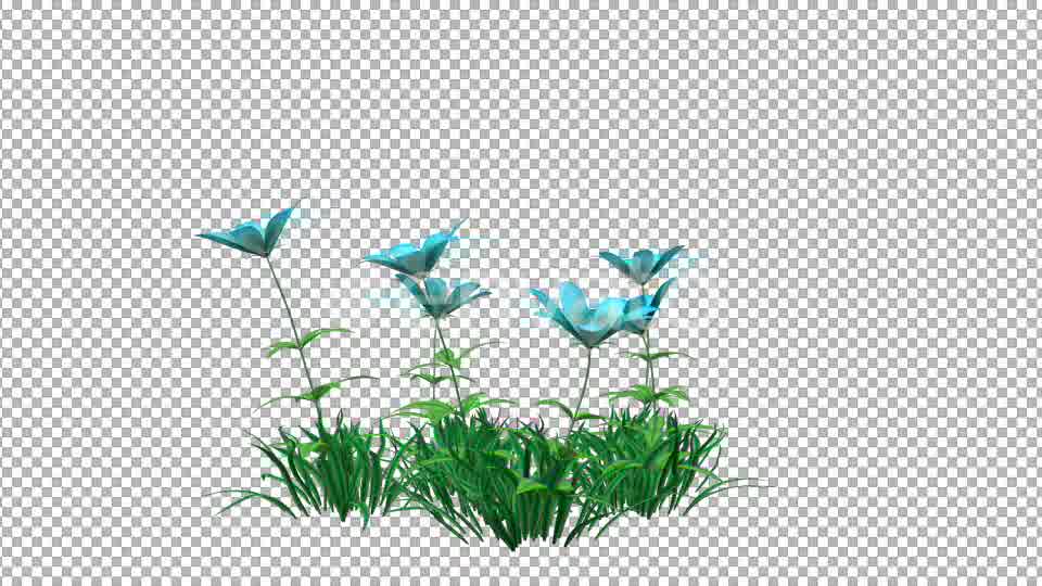 Blue Flower and Grass Videohive 22429587 Motion Graphics Image 10