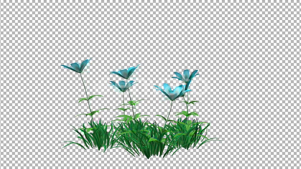 Blue Flower and Grass Videohive 22429587 Motion Graphics Image 4