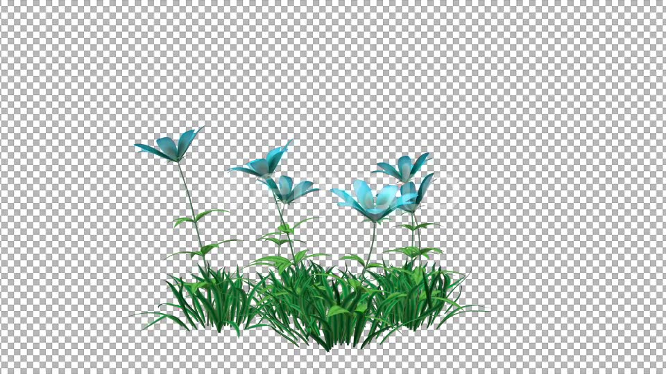 Blue Flower and Grass Videohive 22429587 Motion Graphics Image 5