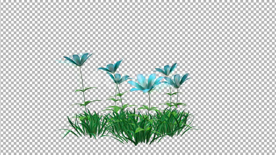 Blue Flower and Grass Videohive 22429587 Motion Graphics Image 6