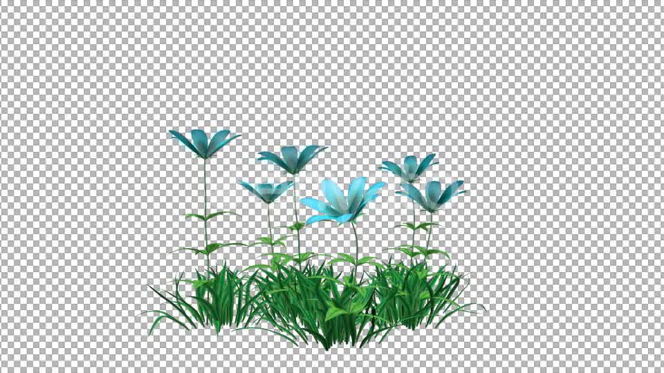 Blue Flower and Grass Videohive 22429587 Motion Graphics Image 7