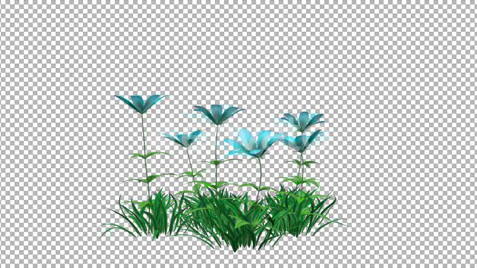Blue Flower and Grass Videohive 22429587 Motion Graphics Image 8