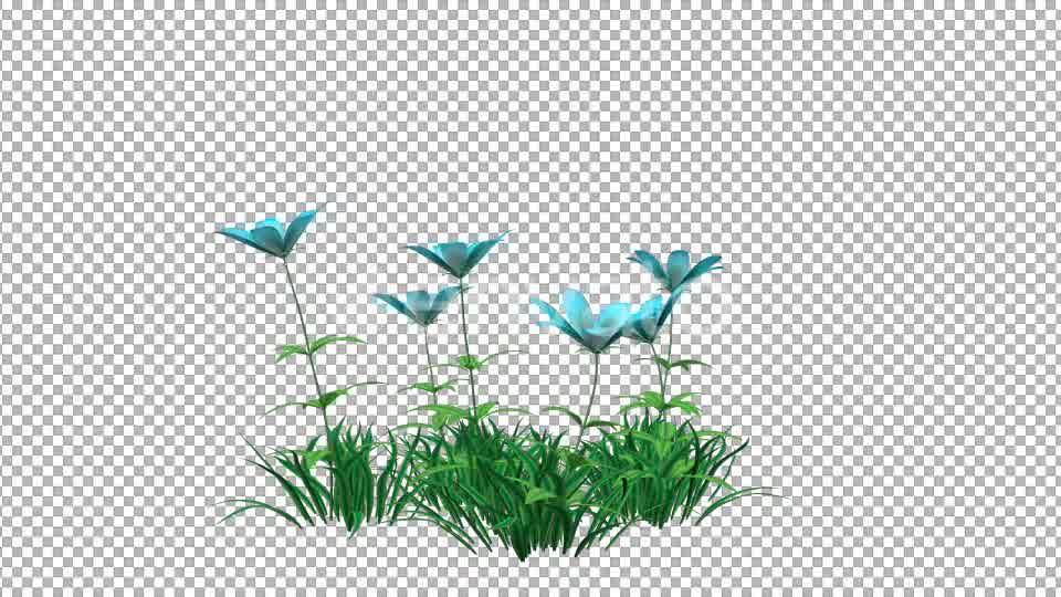 Blue Flower and Grass Videohive 22429587 Motion Graphics Image 9