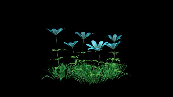 Blue Flower and Grass - Download 22429587 Videohive